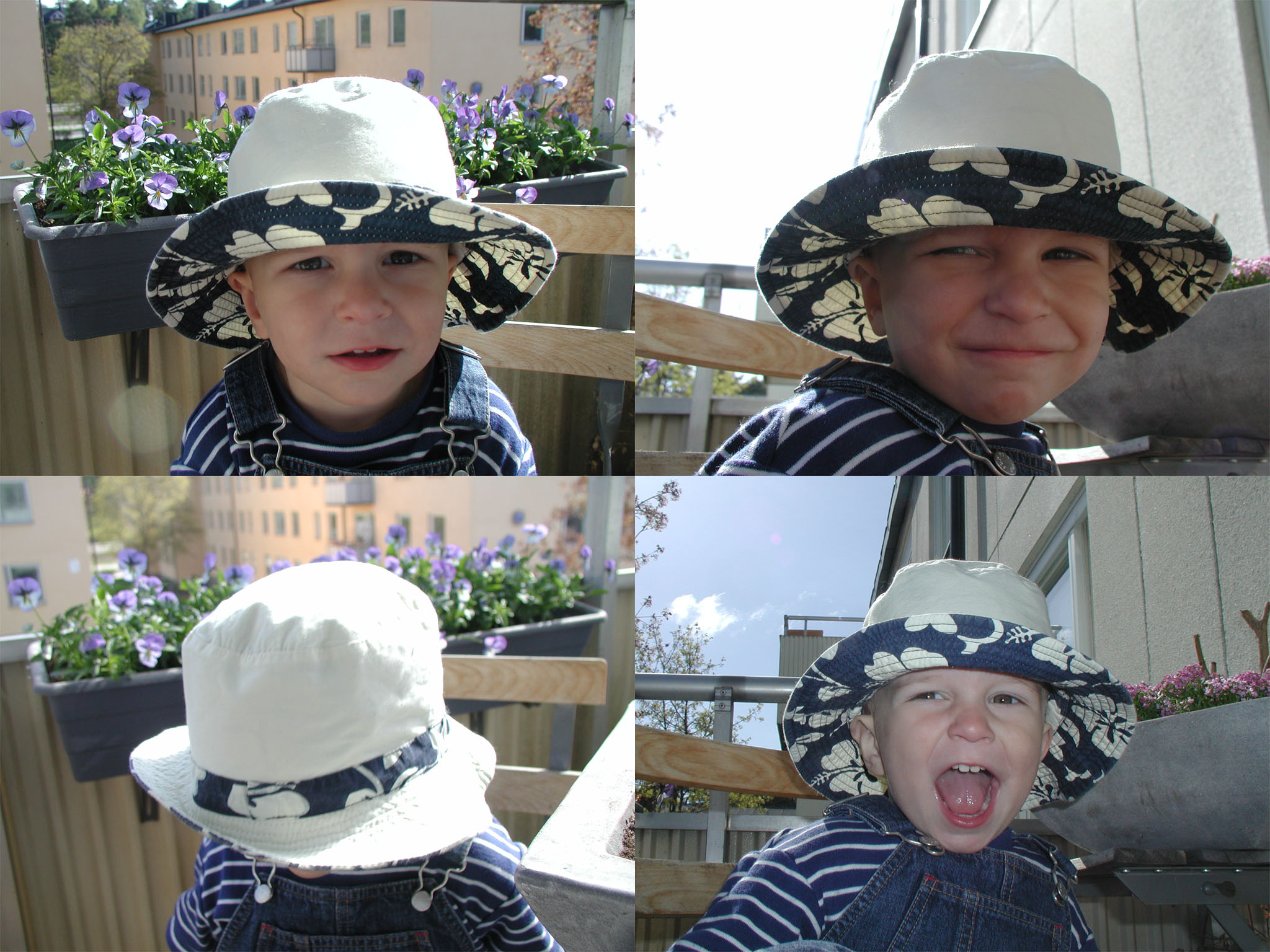 surfhatt